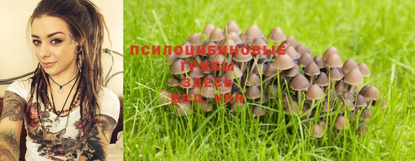 амф Алексеевка