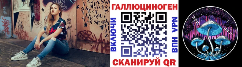 Псилоцибиновые грибы GOLDEN TEACHER  закладка  Калач-на-Дону 